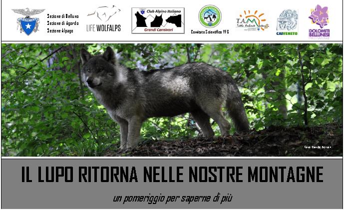 Il Ritorno del Lupo