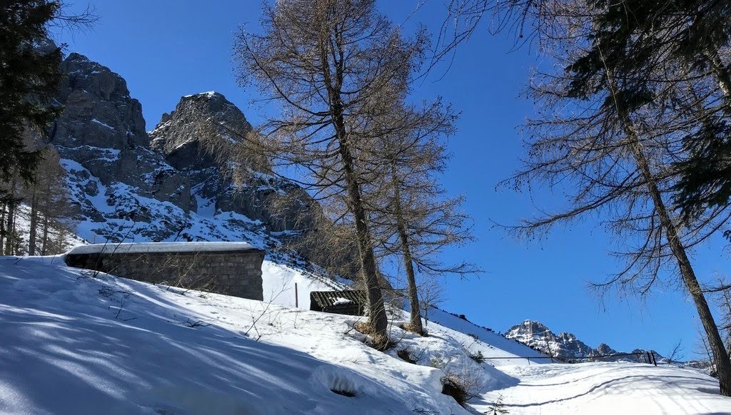 CAI  Sez.San Vito di Cadore - Escursione invernale bivacco Miaron