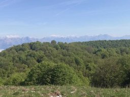 PrealpiBellunesi-Monte Cesen